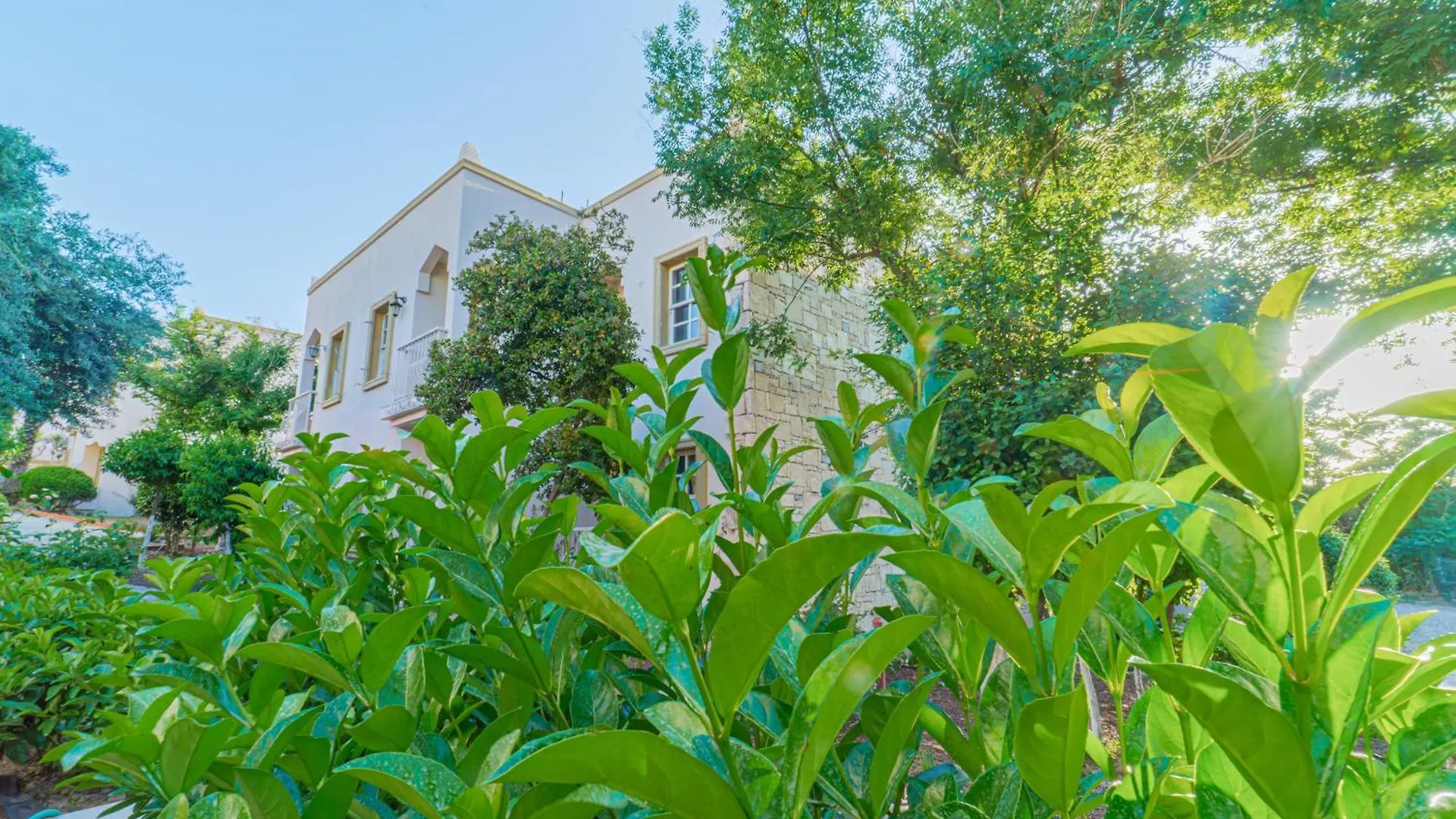 Alexander The Great Resort & Spa ボドルム ホテル